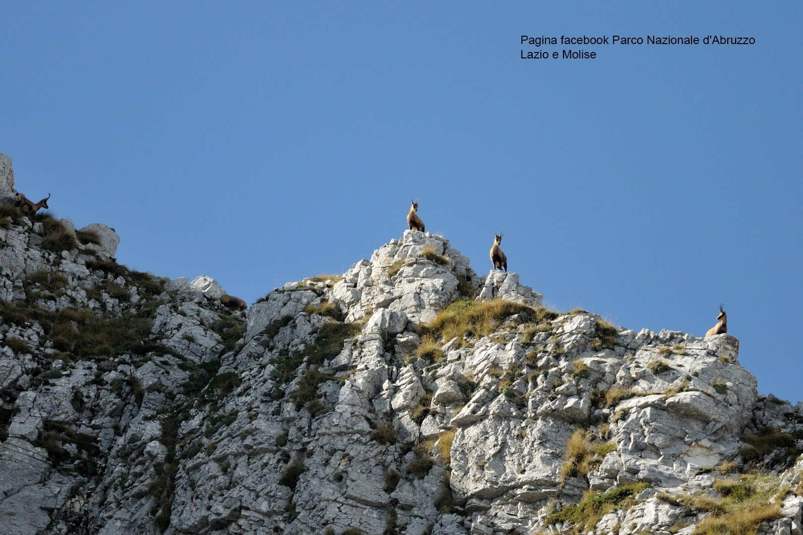 Parco Nazionale Abruzzo Lazio e Molise