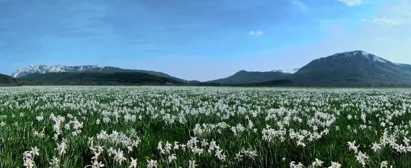 Ferragosto da Record sull’Altopiano delle Rocche: Tra Natura, Storia e Tradizione